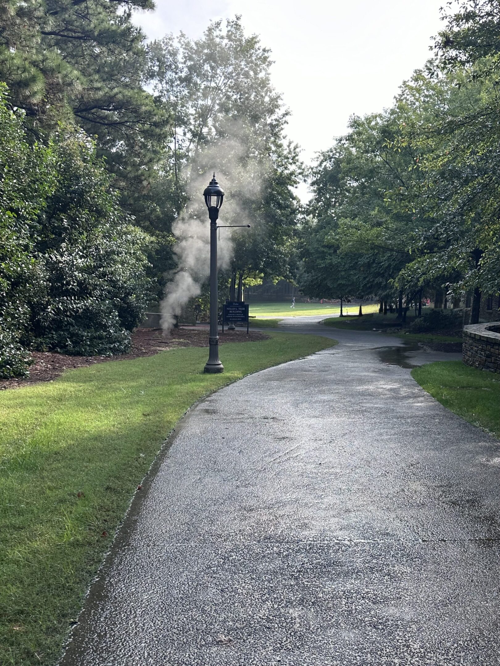 Quiet morning on Duke campus — the kind of place where decisions about education get expensive