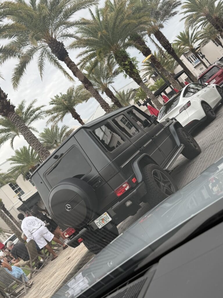Palm trees and parked luxury cars